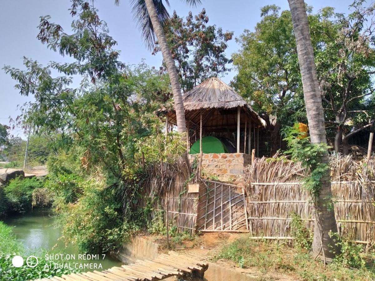 Hotel Drunken Monkey Camping Site Hampi Exterior foto